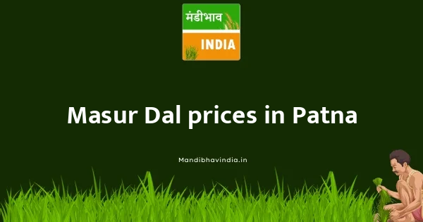 Masur Dal price